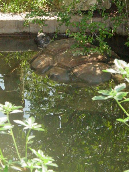 zoo